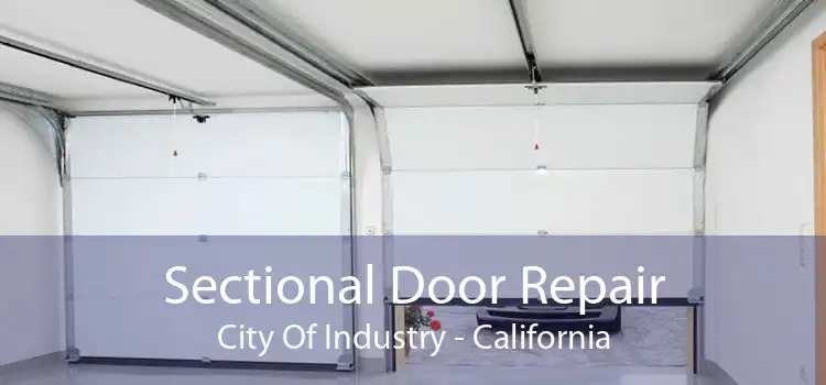 Sectional Door Repair City Of Industry - California