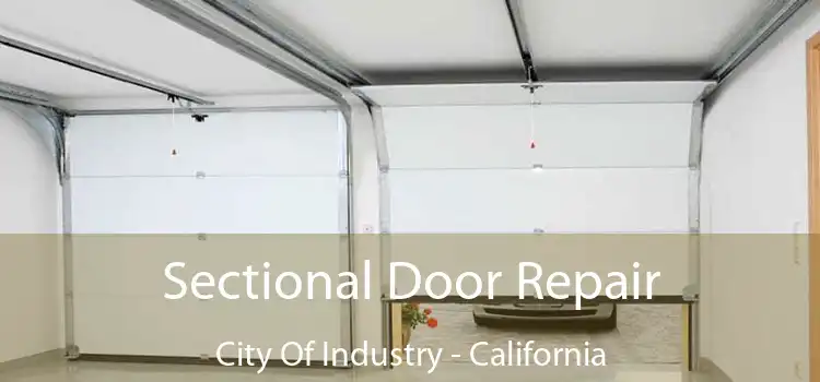 Sectional Door Repair City Of Industry - California