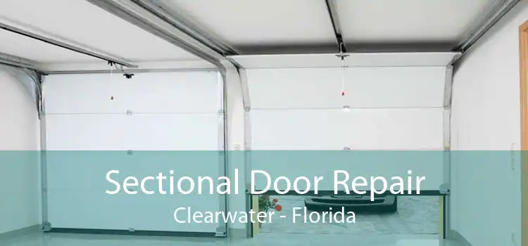 Sectional Door Repair Clearwater - Florida