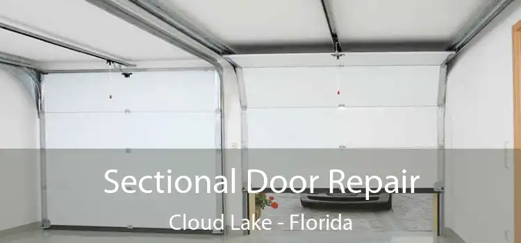 Sectional Door Repair Cloud Lake - Florida