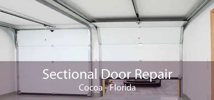Sectional Door Repair Cocoa - Florida
