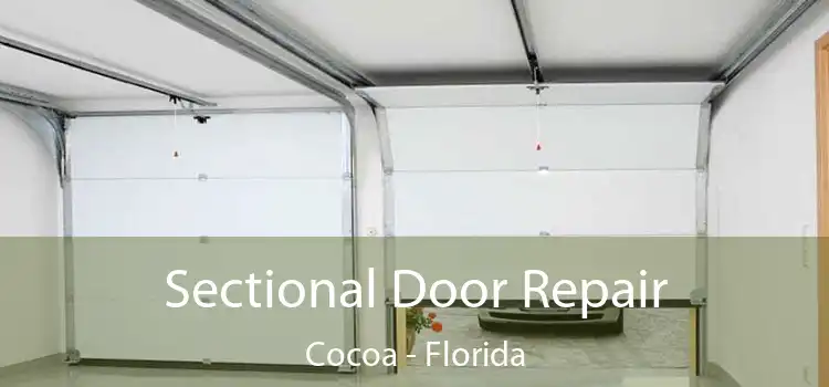 Sectional Door Repair Cocoa - Florida