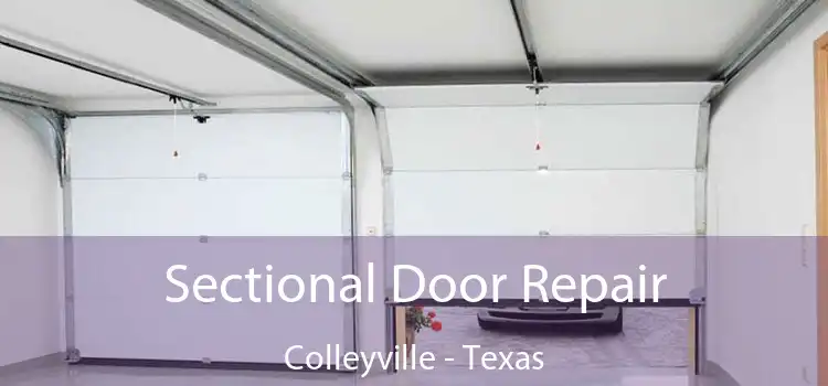 Sectional Door Repair Colleyville - Texas