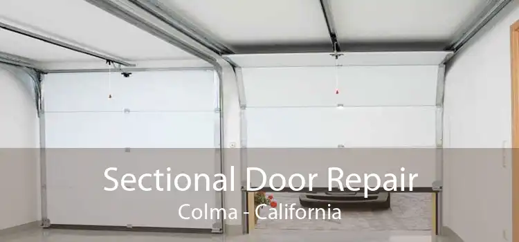 Sectional Door Repair Colma - California