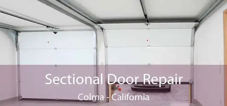 Sectional Door Repair Colma - California