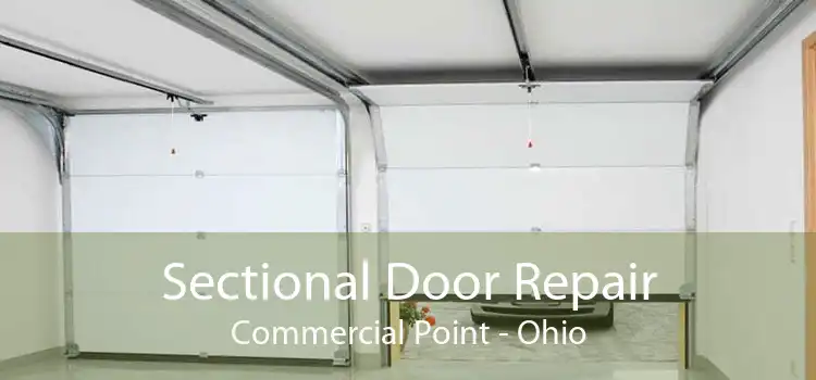 Sectional Door Repair Commercial Point - Ohio