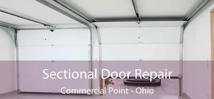 Sectional Door Repair Commercial Point - Ohio