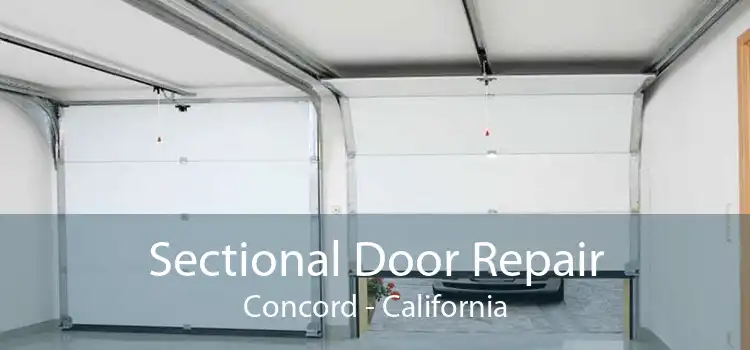 Sectional Door Repair Concord - California
