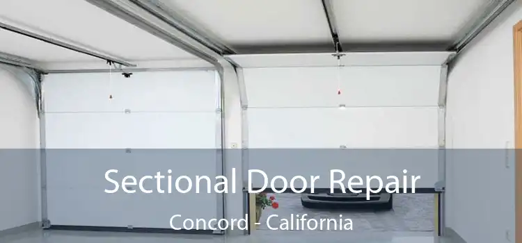 Sectional Door Repair Concord - California