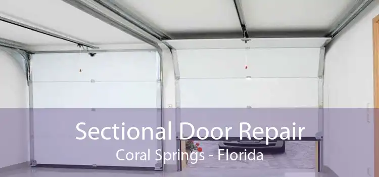 Sectional Door Repair Coral Springs - Florida
