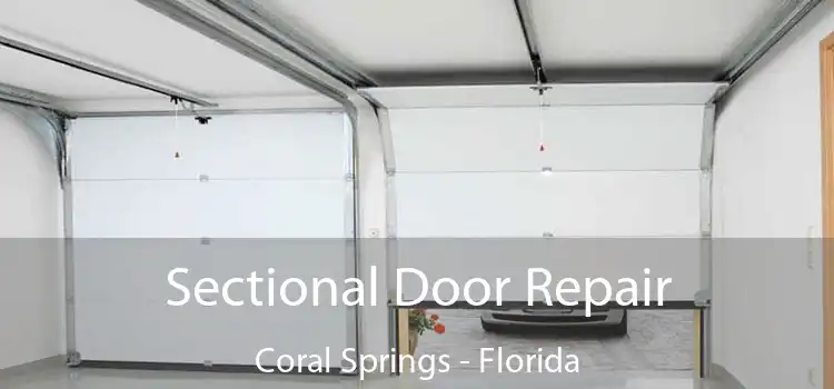 Sectional Door Repair Coral Springs - Florida