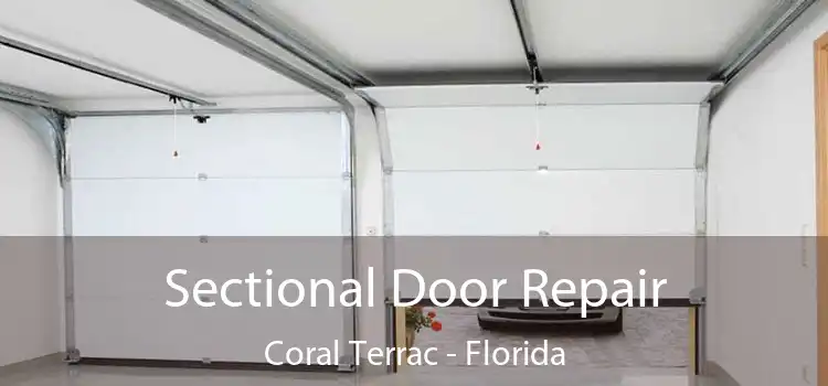 Sectional Door Repair Coral Terrac - Florida