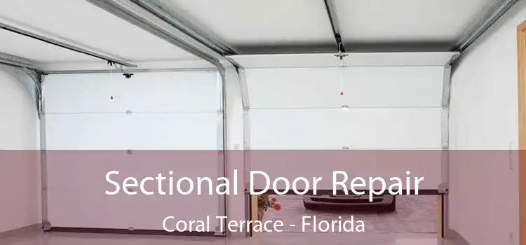 Sectional Door Repair Coral Terrace - Florida