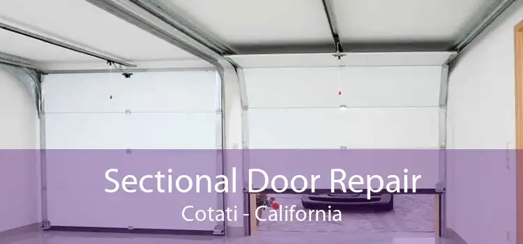 Sectional Door Repair Cotati - California