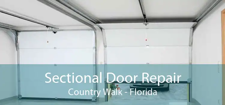 Sectional Door Repair Country Walk - Florida