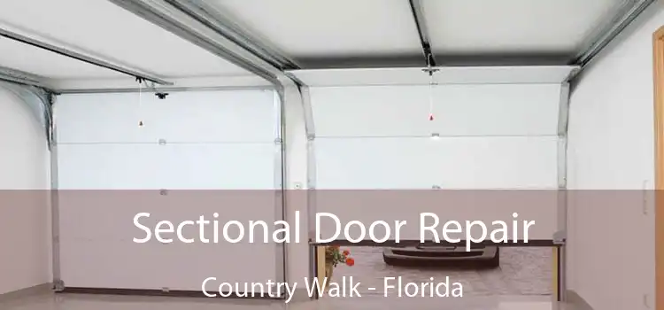 Sectional Door Repair Country Walk - Florida