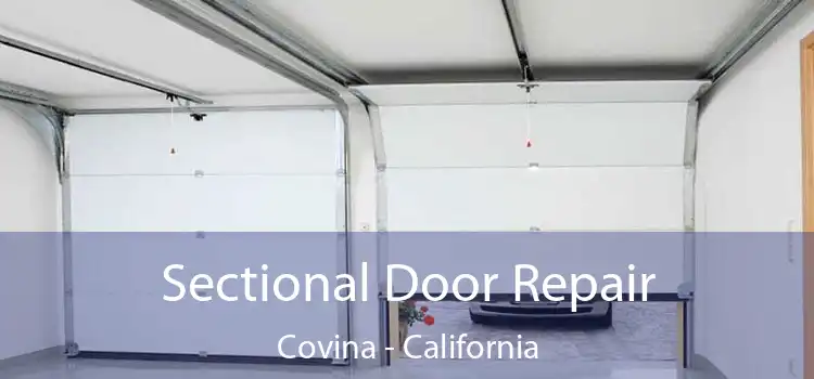 Sectional Door Repair Covina - California