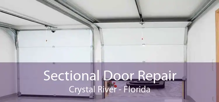 Sectional Door Repair Crystal River - Florida