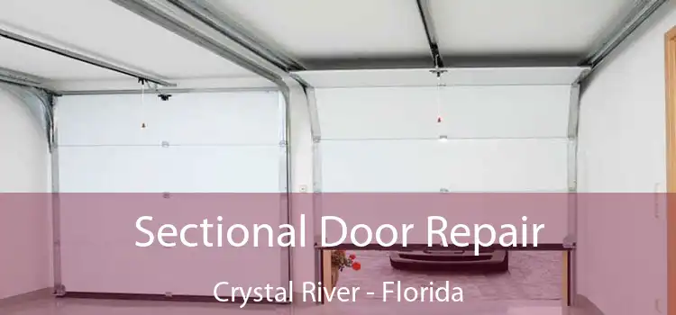 Sectional Door Repair Crystal River - Florida