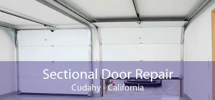 Sectional Door Repair Cudahy - California