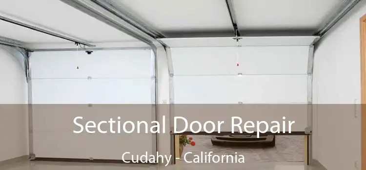 Sectional Door Repair Cudahy - California