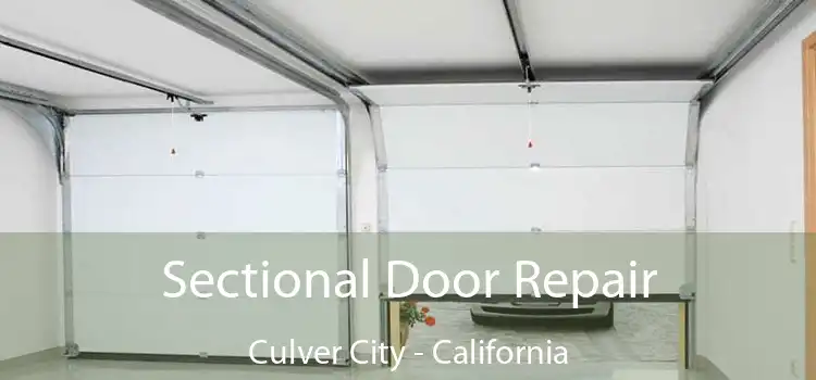 Sectional Door Repair Culver City - California