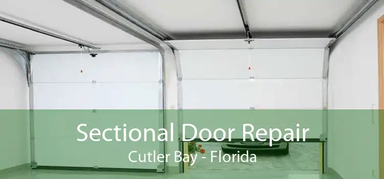 Sectional Door Repair Cutler Bay - Florida