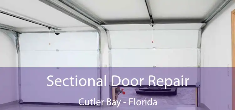 Sectional Door Repair Cutler Bay - Florida