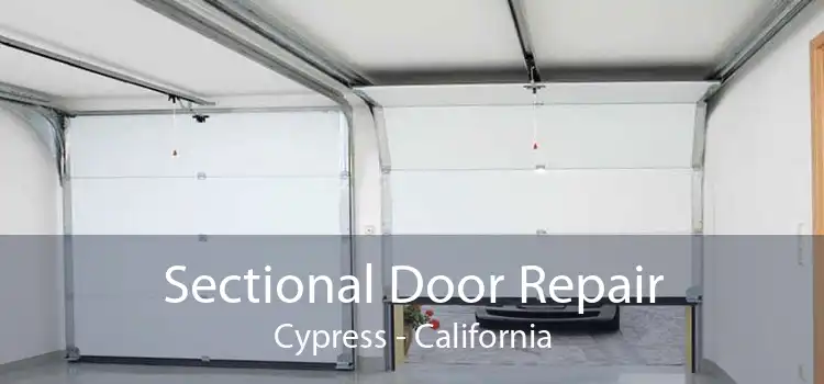Sectional Door Repair Cypress - California