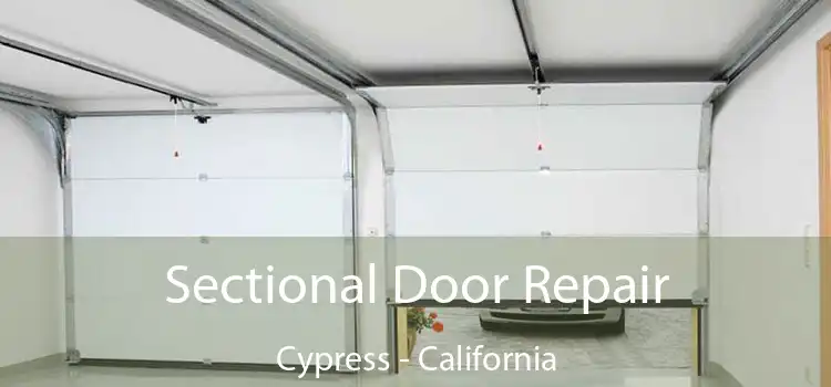 Sectional Door Repair Cypress - California