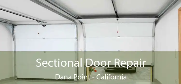 Sectional Door Repair Dana Point - California