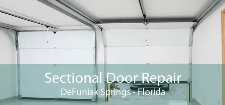 Sectional Door Repair DeFuniak Springs - Florida