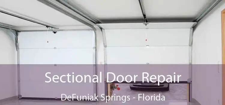 Sectional Door Repair DeFuniak Springs - Florida