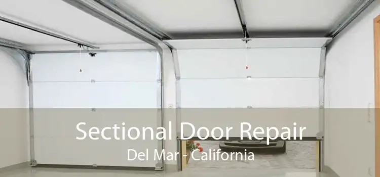 Sectional Door Repair Del Mar - California