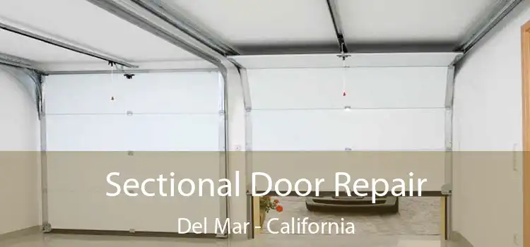 Sectional Door Repair Del Mar - California