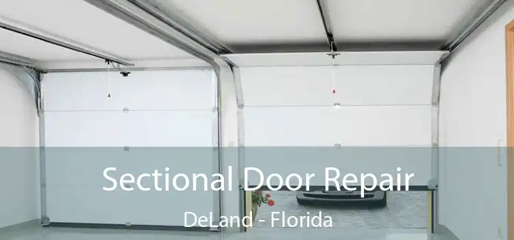 Sectional Door Repair DeLand - Florida