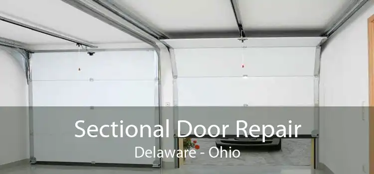 Sectional Door Repair Delaware - Ohio