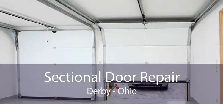 Sectional Door Repair Derby - Ohio