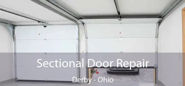 Sectional Door Repair Derby - Ohio