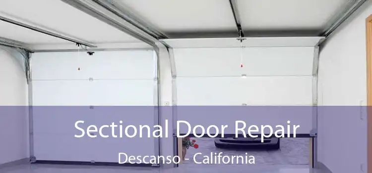 Sectional Door Repair Descanso - California