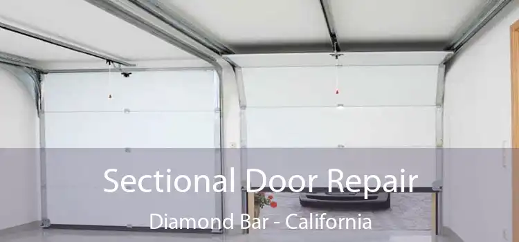 Sectional Door Repair Diamond Bar - California