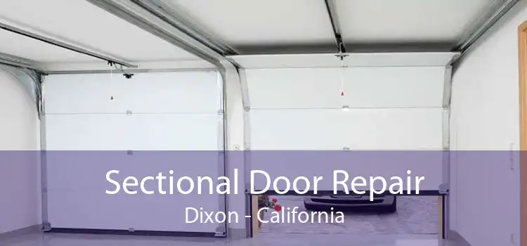 Sectional Door Repair Dixon - California