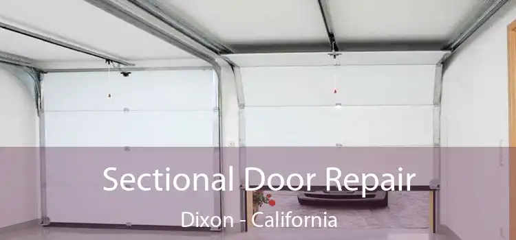 Sectional Door Repair Dixon - California