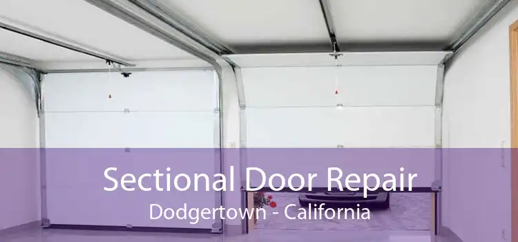 Sectional Door Repair Dodgertown - California