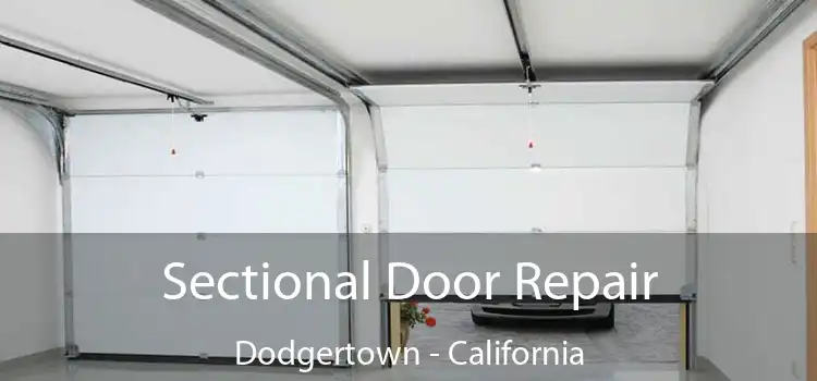 Sectional Door Repair Dodgertown - California