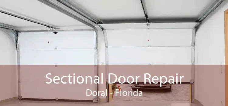 Sectional Door Repair Doral - Florida