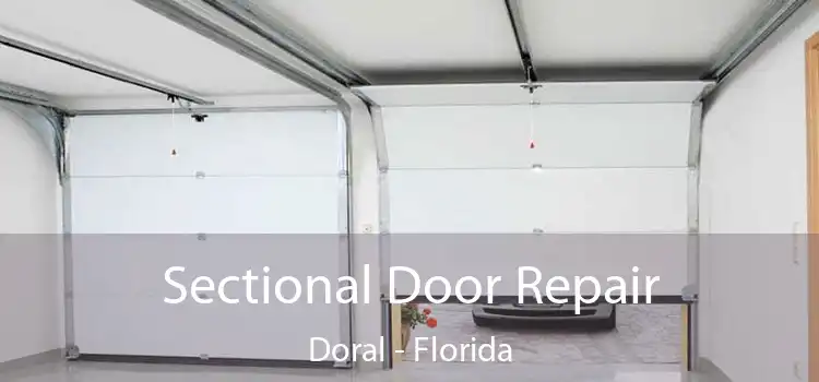 Sectional Door Repair Doral - Florida