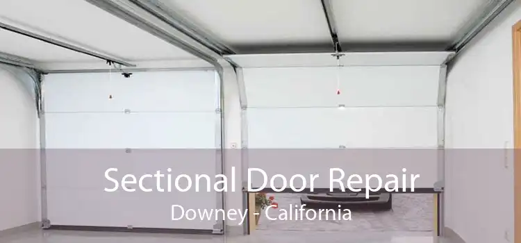 Sectional Door Repair Downey - California