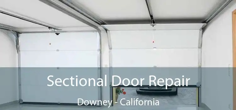 Sectional Door Repair Downey - California