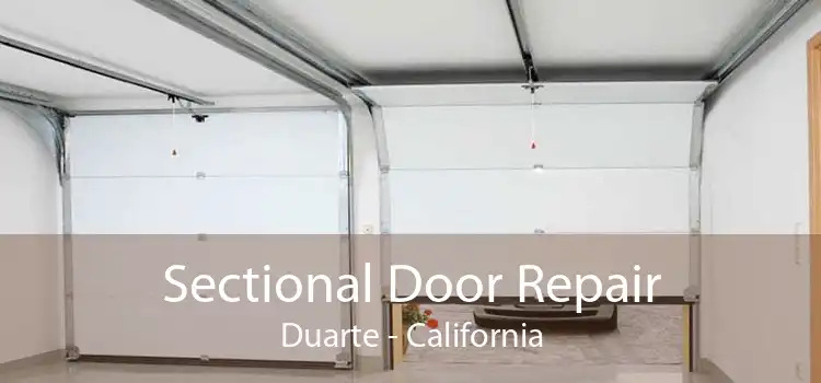 Sectional Door Repair Duarte - California
